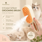 Steam Spray Pet Grooming Brush