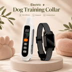Dog Training Collar