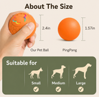 Smart Interactive Pet Ball