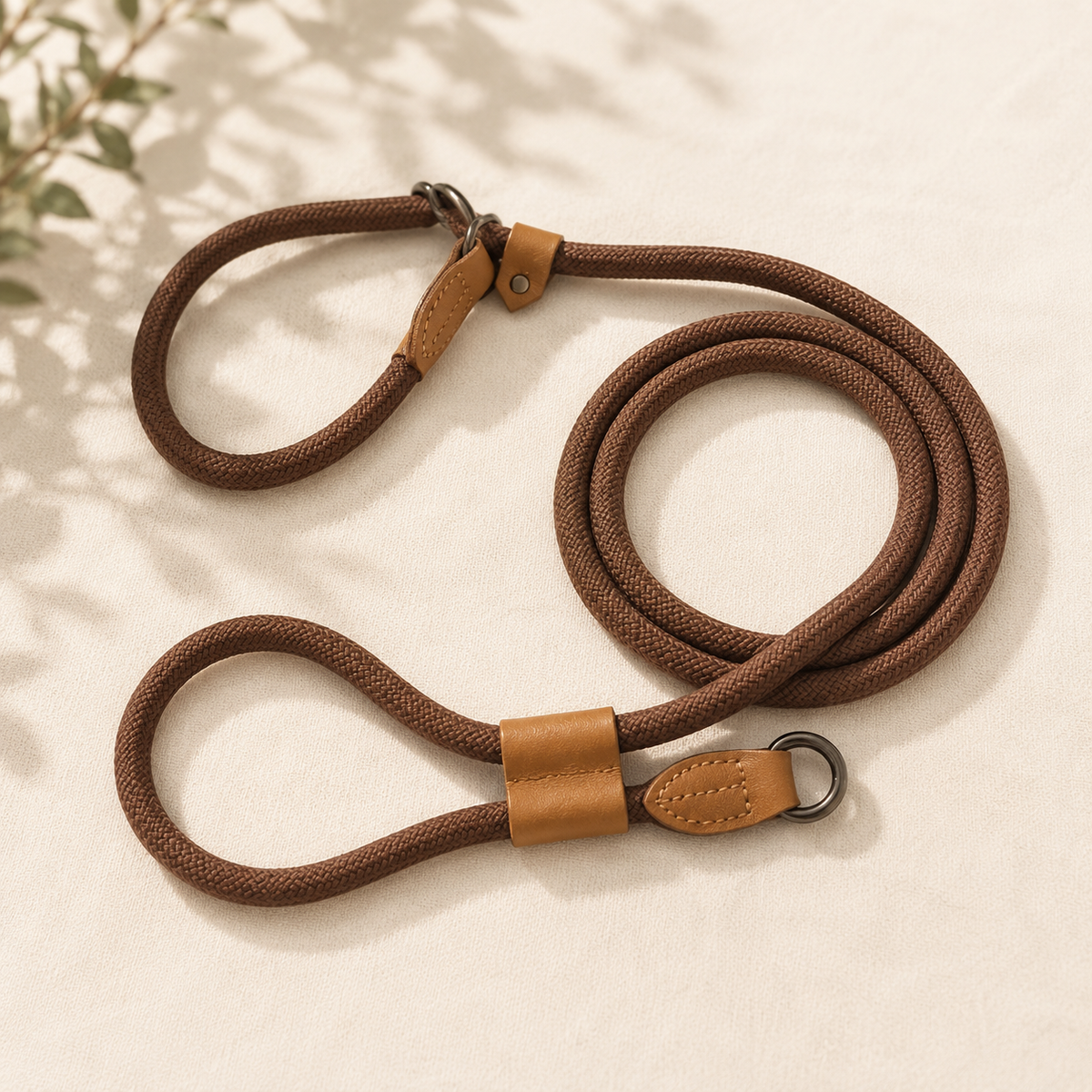 Adventure Rope Dog Leash&Collar