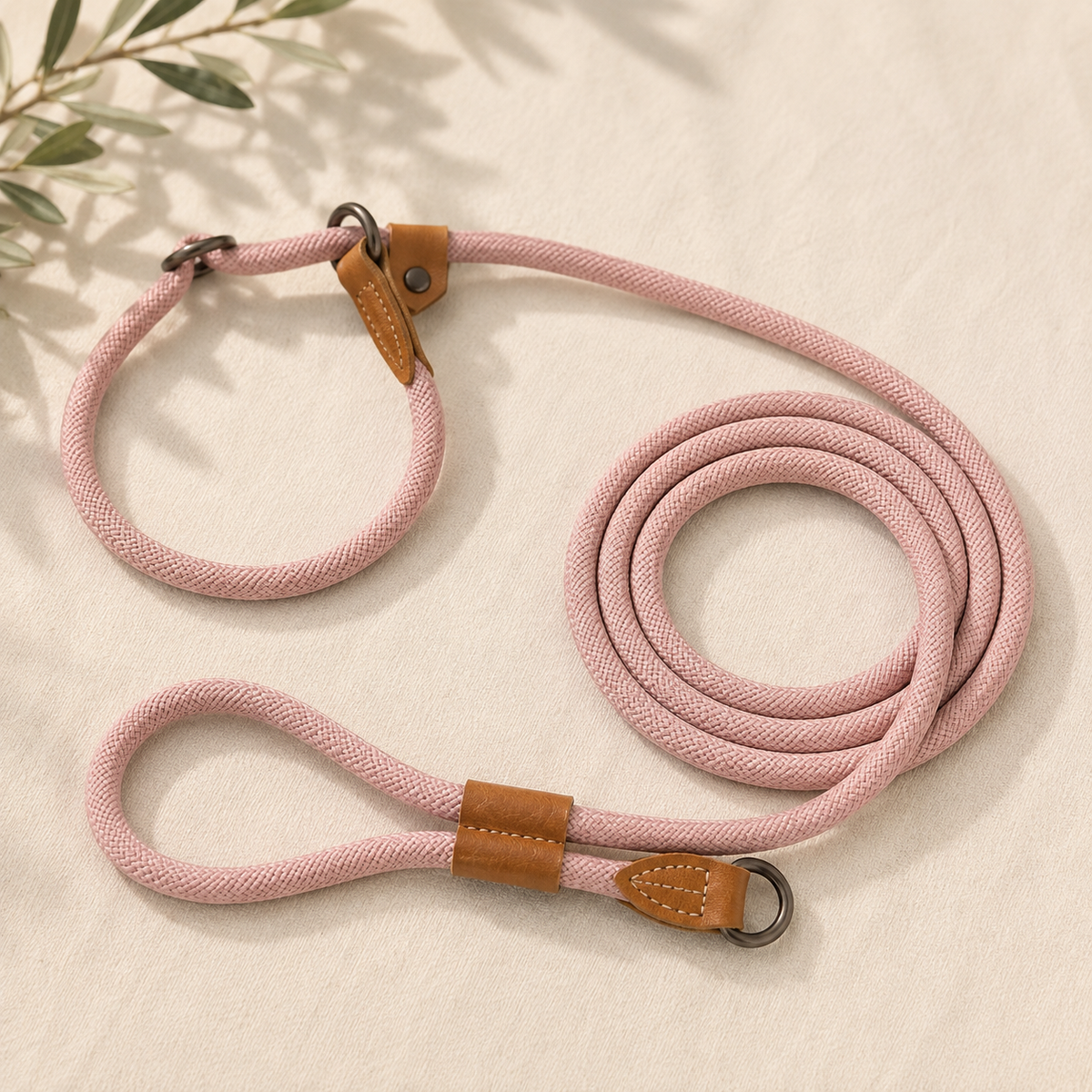 Adventure Rope Dog Leash&Collar