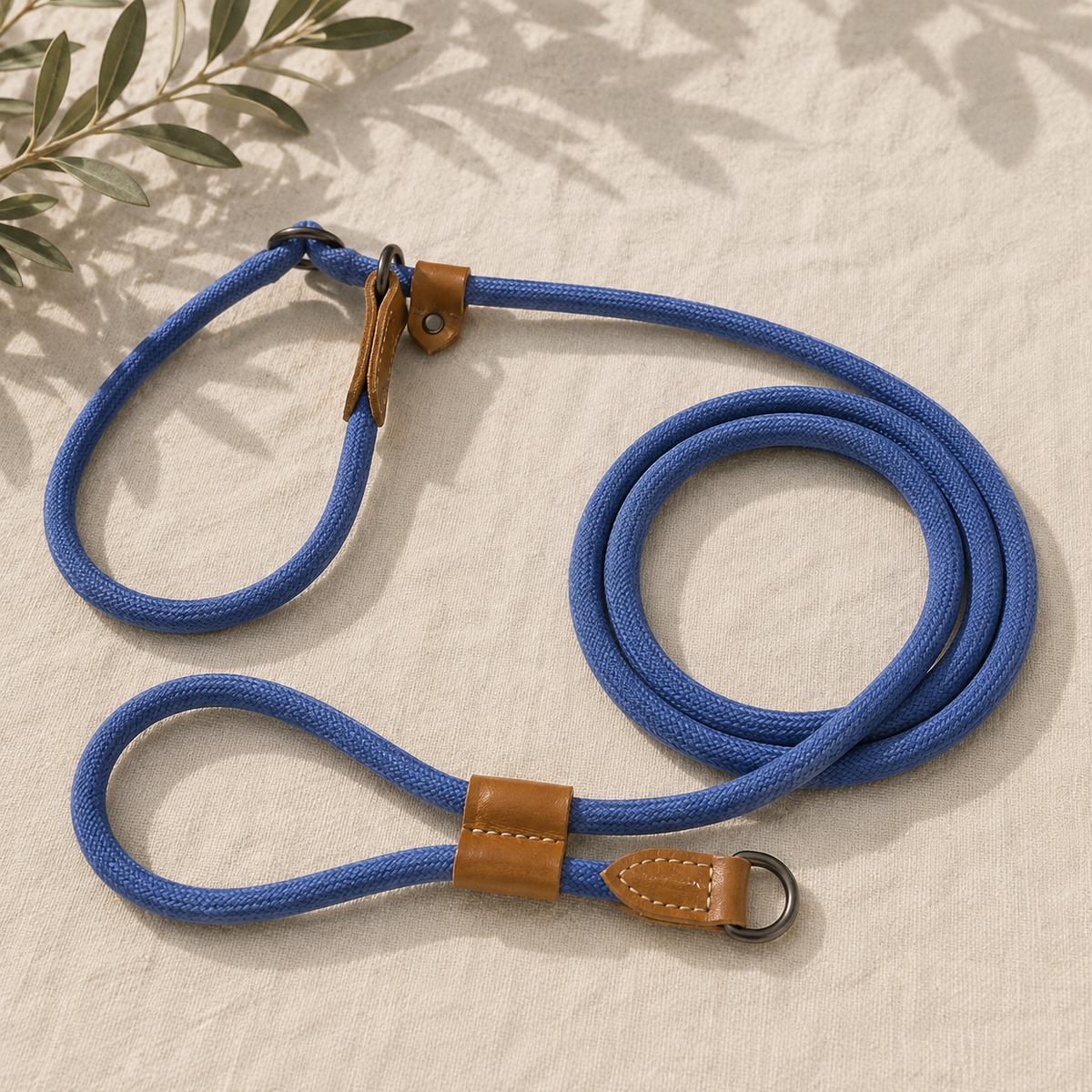 Adventure Rope Dog Leash&Collar