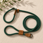 Adventure Rope Dog Leash&Collar